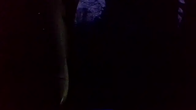 dickencidr online show from 03/19/26, 12:14