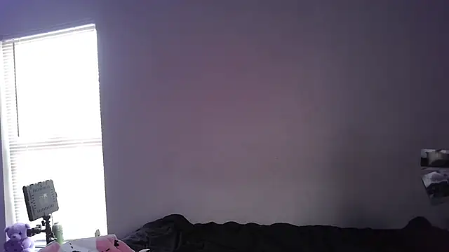 stellakobra online show from 04/24/26, 11:07