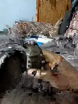 spermc online show from 02/06/26, 04:10