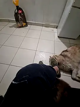 RITAEGIH online show from 03/02/26, 08:04