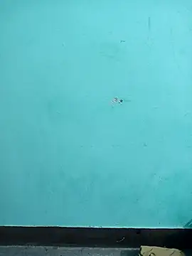 Snapshot of Sexacock01 chatting on 02/04/26, 11:16 Sexacock01 online show from 02/04/26, 11:16