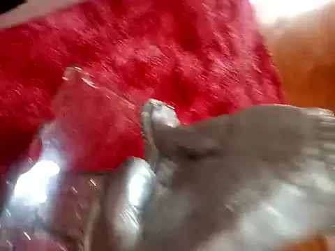 Jeison0323 online show from 02/04/26, 08:25