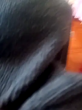 Jeison0323 online show from 02/25/26, 08:29