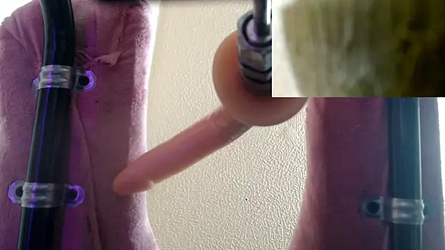 Lunabunnyx online show from 11/20/25, 09:03