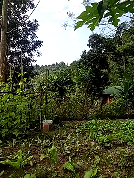 Rose-rose1234 online show from 11/21/25, 08:02