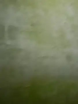 Uplk online show from 11/17/25, 11:49