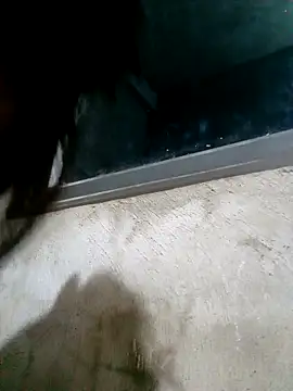 Ava-120 online show from 02/17/26, 03:08