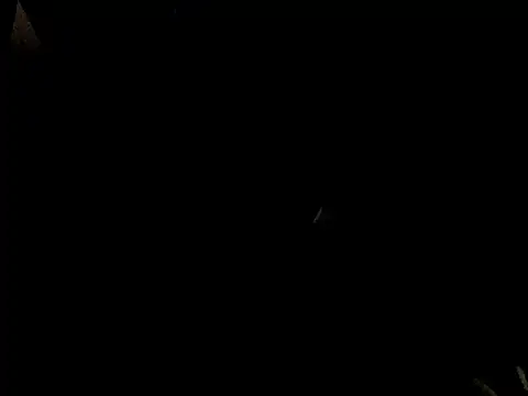 Savannah Cock online show from 02/23/26, 01:03