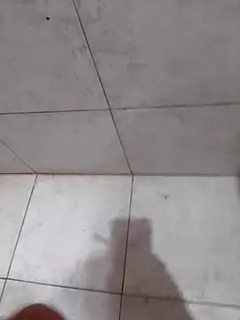 Parejahot534 online show from 04/16/26, 06:19