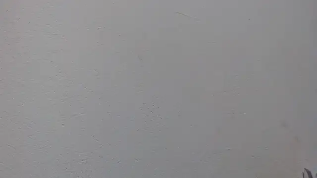 ebony cristal 1 online show from 04/20/26, 11:13