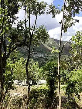 Cute Lucky online show from 04/09/26, 06:19