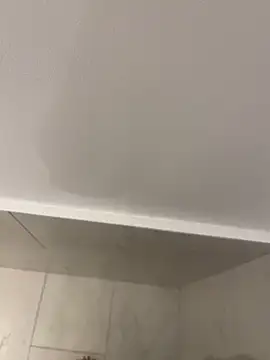 Maia0823 online show from 11/21/25, 04:44