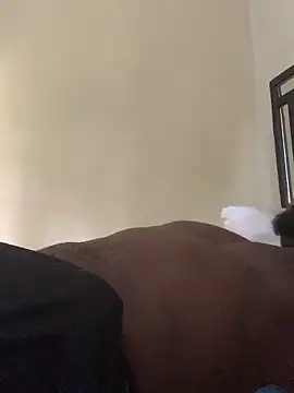 laperson online show from 04/04/26, 11:40