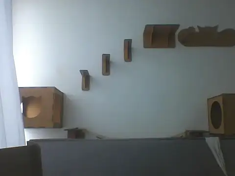 Temp7 online show from 02/21/26, 01:23