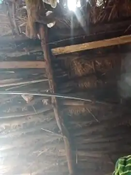 Xxx suhana online show from 02/02/26, 03:49