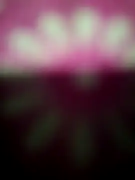 Snapshot of Nandani-758 chatting on 12/19/25, 12:17 Nandani-758 online show from 12/19/25, 12:17