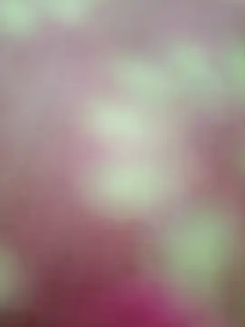 Snapshot of Nandani-758 chatting on 02/20/26, 09:00 Nandani-758 online show from 02/20/26, 09:00