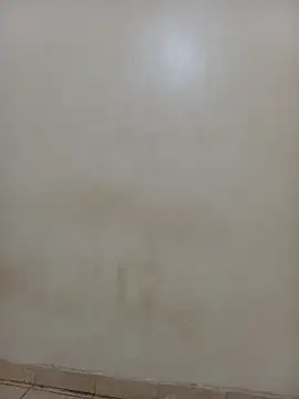 AnastiaBushlah online show from 03/02/26, 05:19