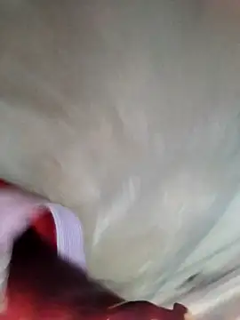 Snapshot of Minsexy66 chatting on 12/02/25, 03:23 Minsexy66 online show from 12/02/25, 03:23