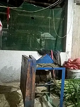 nangmo online show from 03/12/26, 11:22