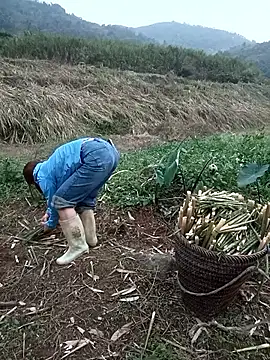 nangmo online show from 03/18/26, 11:13