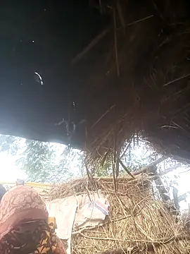 Hot srei online show from 12/01/25, 04:17