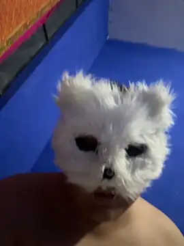 aricub online show from 12/16/25, 12:59