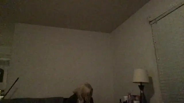 Babyboobabybye08 online show from 03/06/26, 11:17