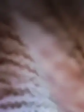 Snapshot of Punam_panjabi chatting on 02/28/26, 07:53 Punam panjabi online show from 02/28/26, 07:53