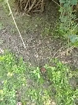 88zaifkhan88 online show from 03/02/26, 05:08