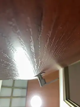 Dafne se online show from 01/18/26, 12:36