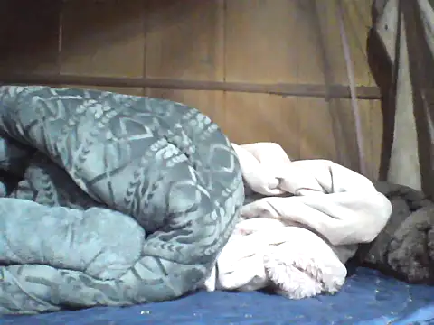 Alibabapi online show from 04/08/26, 07:30