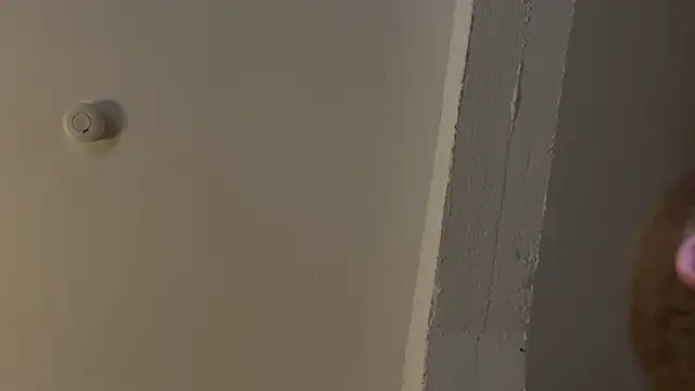 AndyLD20x6 online show from 11/29/25, 12:02