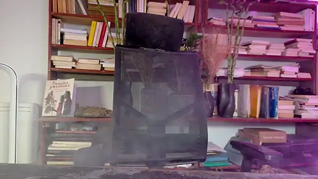 diogene11 online show from 12/02/25, 03:07