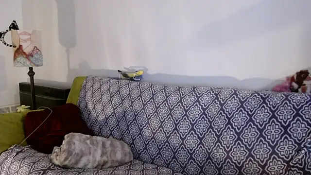 DeliaBlew online show from 12/04/25, 03:10