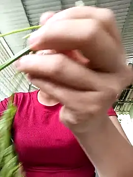 Pretty-haert online show from 04/15/26, 02:51