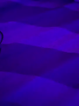 Porshh online show from 12/03/25, 09:07