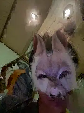 Snapshot of aotaro0721 chatting on 02/27/26, 04:01 aotaro0721 online show from 02/27/26, 04:01