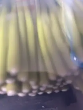 Ghost-Zero online show from 03/21/26, 11:59