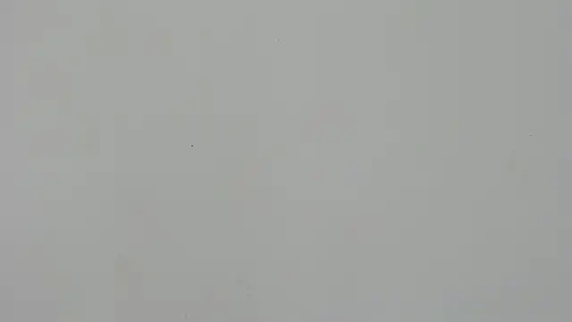 Ladymadinght online show from 02/04/26, 02:01