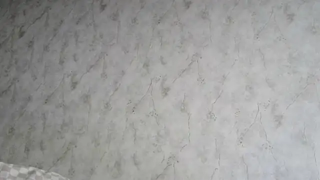 AliceWonderLure online show from 12/03/25, 09:18