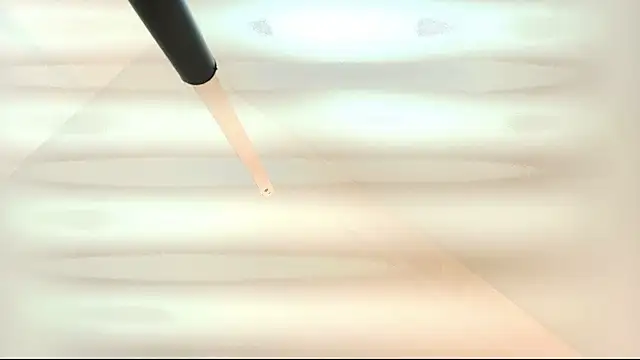 tamara walter online show from 03/05/26, 01:40