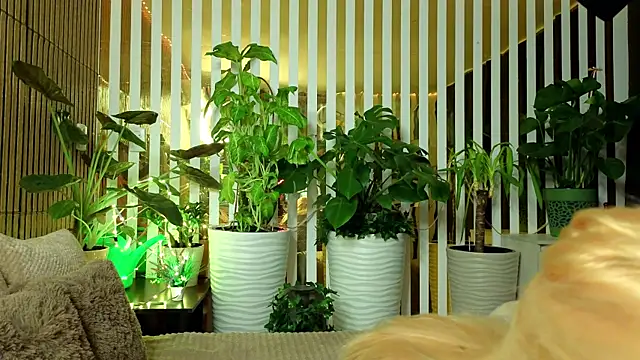 Snapshot of FlowweerGirl chatting on 12/15/25, 09:41 FlowweerGirl online show from 12/15/25, 09:41