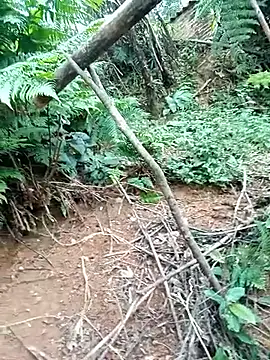 ava-dellght online show from 01/17/26, 02:38