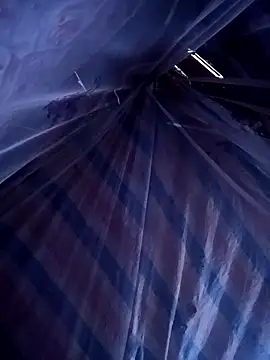 ava-dellght online show from 04/14/26, 06:08