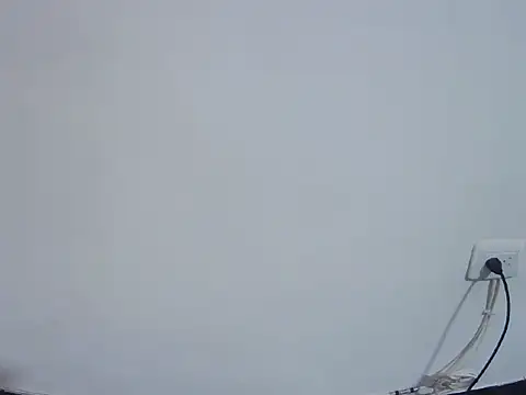 Fernanda andrew online show from 02/24/26, 04:49