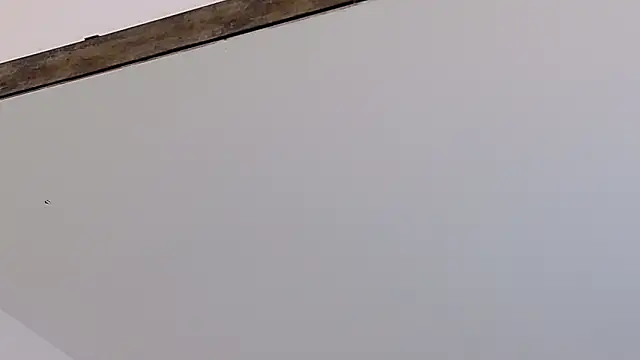 LucyHanks online show from 02/23/26, 03:42