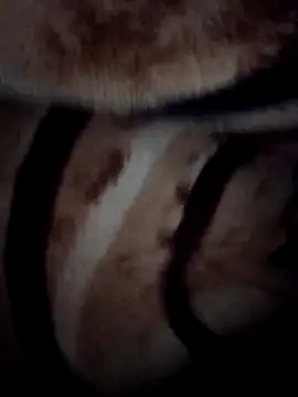 Snapshot of pihuu1313 chatting on 02/09/26, 03:21 pihuu1313 online show from 02/09/26, 03:21