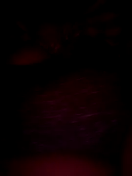 Snapshot of pihuu1313 chatting on 02/20/26, 07:58 pihuu1313 online show from 02/20/26, 07:58