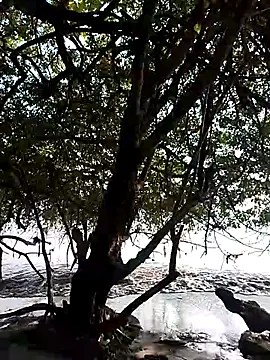 Snapshot of Andreskelly chatting on 02/13/26, 09:22 Andreskelly online show from 02/13/26, 09:22